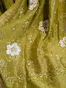 harshita 2.webp