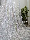 chandrika 7.webp