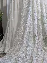 chandrika 2.webp