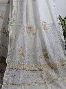 mul cotton 3.webp