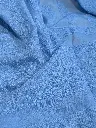 blue 8.webp