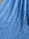 blue 7.webp