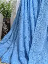 blue 6.webp