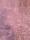flamingo 6.webp