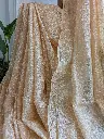peach p 5.webp