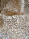 peach p 6.webp