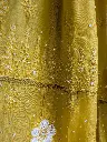 Amaltas 8.webp