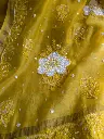 Amaltas 6.webp