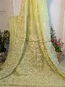 Pista Aanchal 5.webp