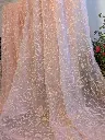 Gulabi Ark 6.webp