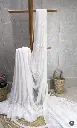 URVASHI   Viscose Chikankari Saree with Cuttdana and Sequence work