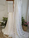 SHWATAMBARI Chiffon Chikankari Saree
