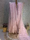 GULABI NOOR  Mul Chanderi Chikankari Saree