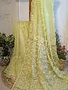 PISTA AANCHAL   Chanderi Silk Saree embellished with moti,cuttdana and zari 