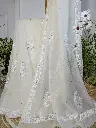 UZMA   Mul Mul Chikankari saree with Mukaish work