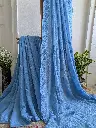 NEELIMA   Chiffon Chikankari Saree monotone elegance